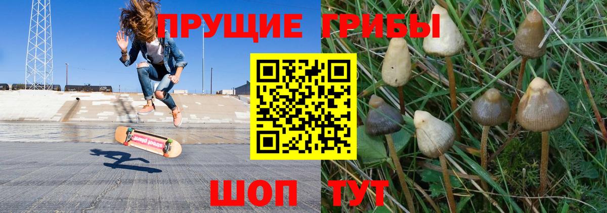 Галлюциногенные грибы Magic Shrooms  Галлюциногенные грибы Psilocybe  Вход с VPN  Тверь 